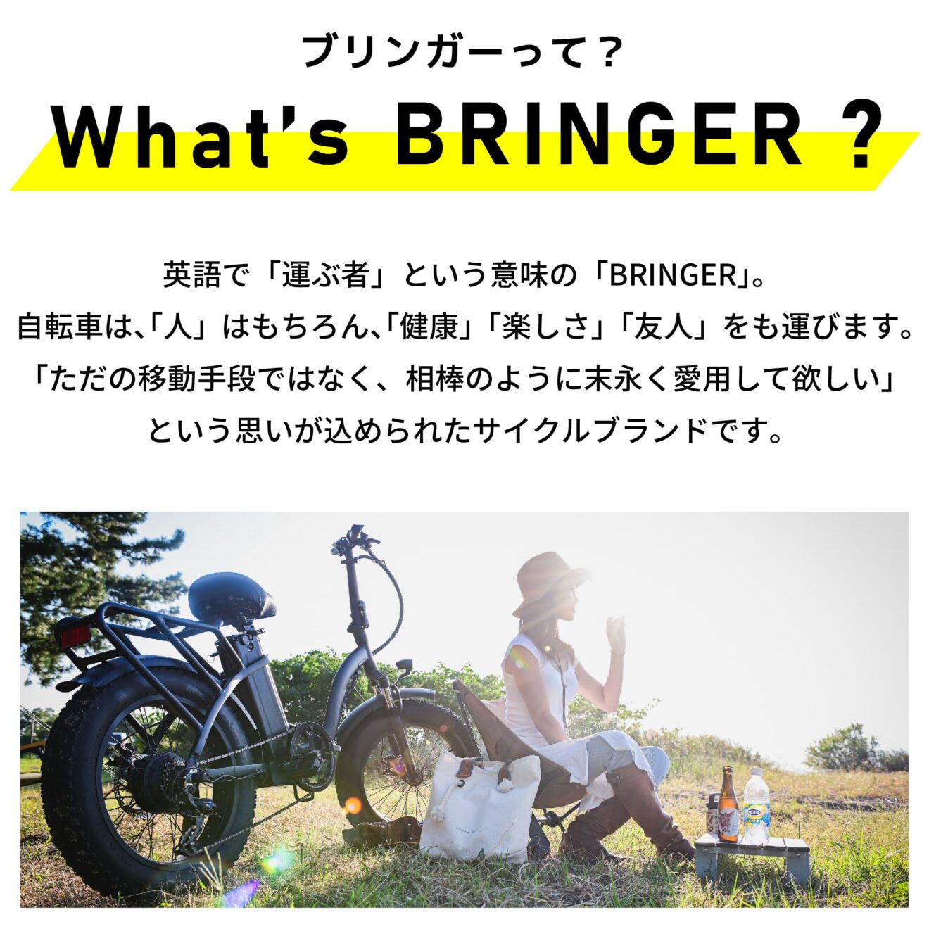 ファットバイクタイプ電動アシスト自転車 FAT-01（型式認定取得モデル